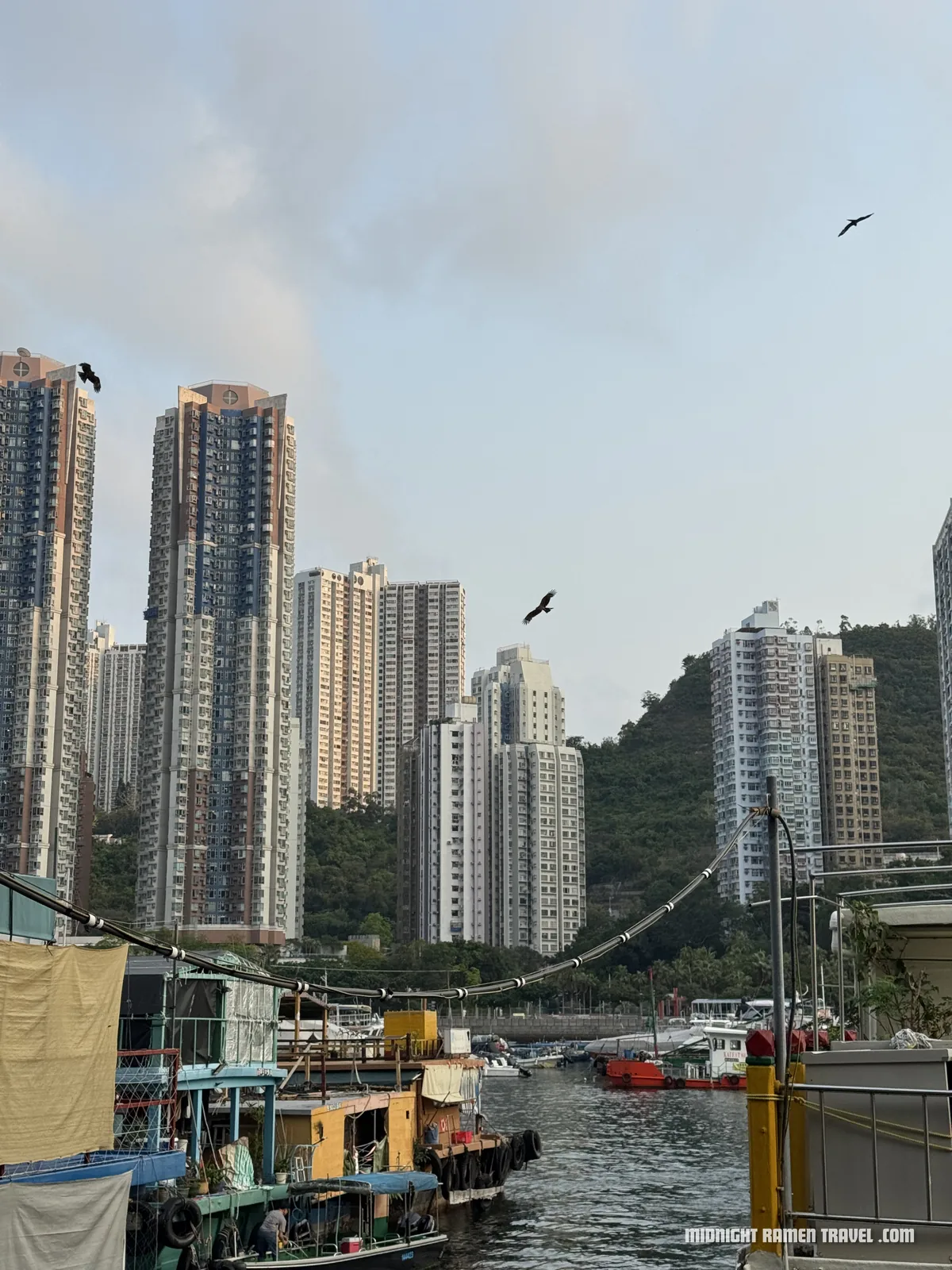 hong kong aberdeen harbour eagles