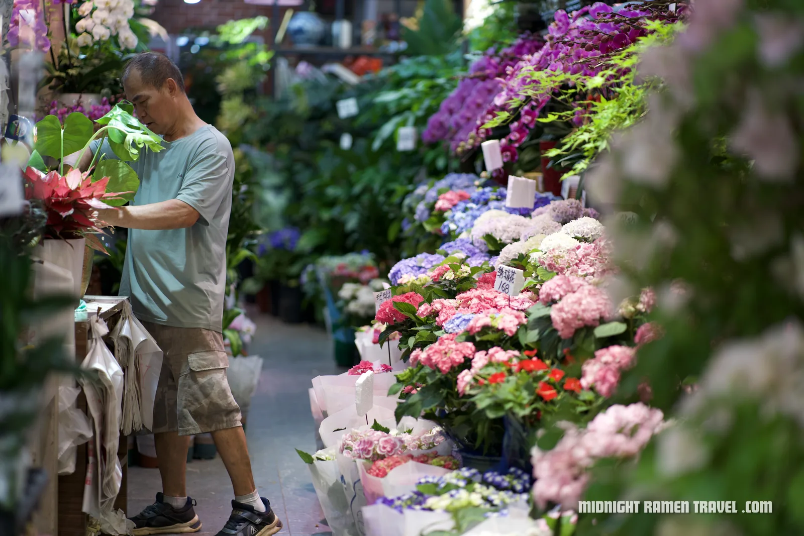 Markets around Mong Kok - Flower Market