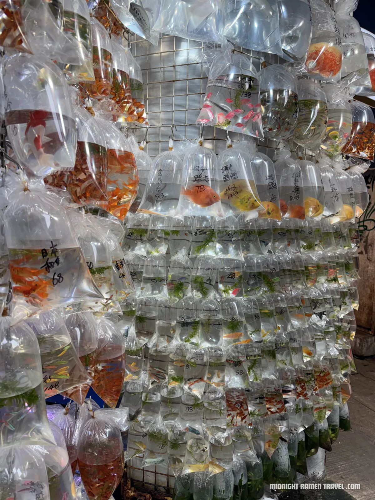 hong kong goldfish market bags