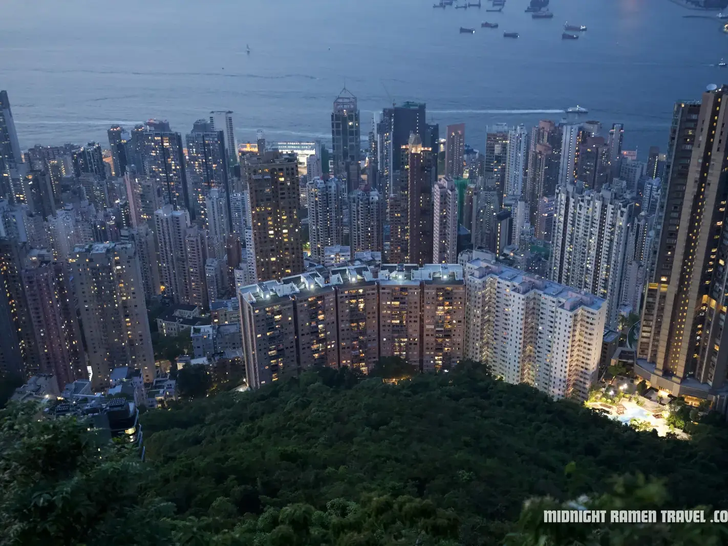 Hong Kong harbour view from the Peak Circle Walk
