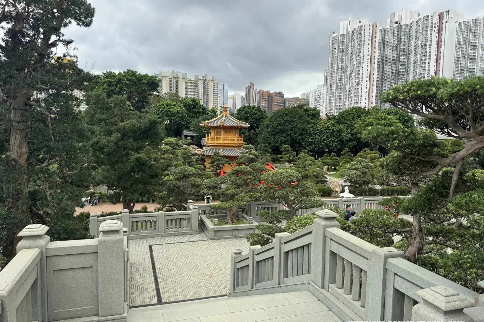 Nan Lian Garden surrounded by Hong Kong high-rises