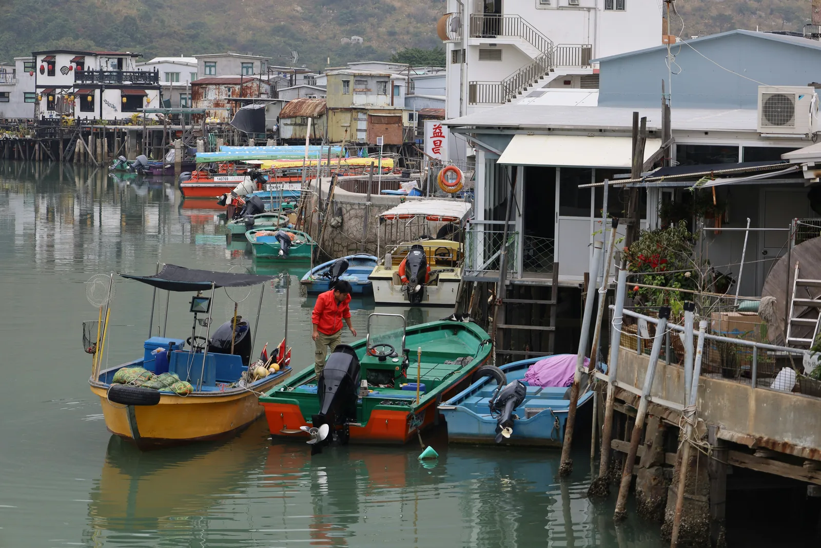hong kong taio 3