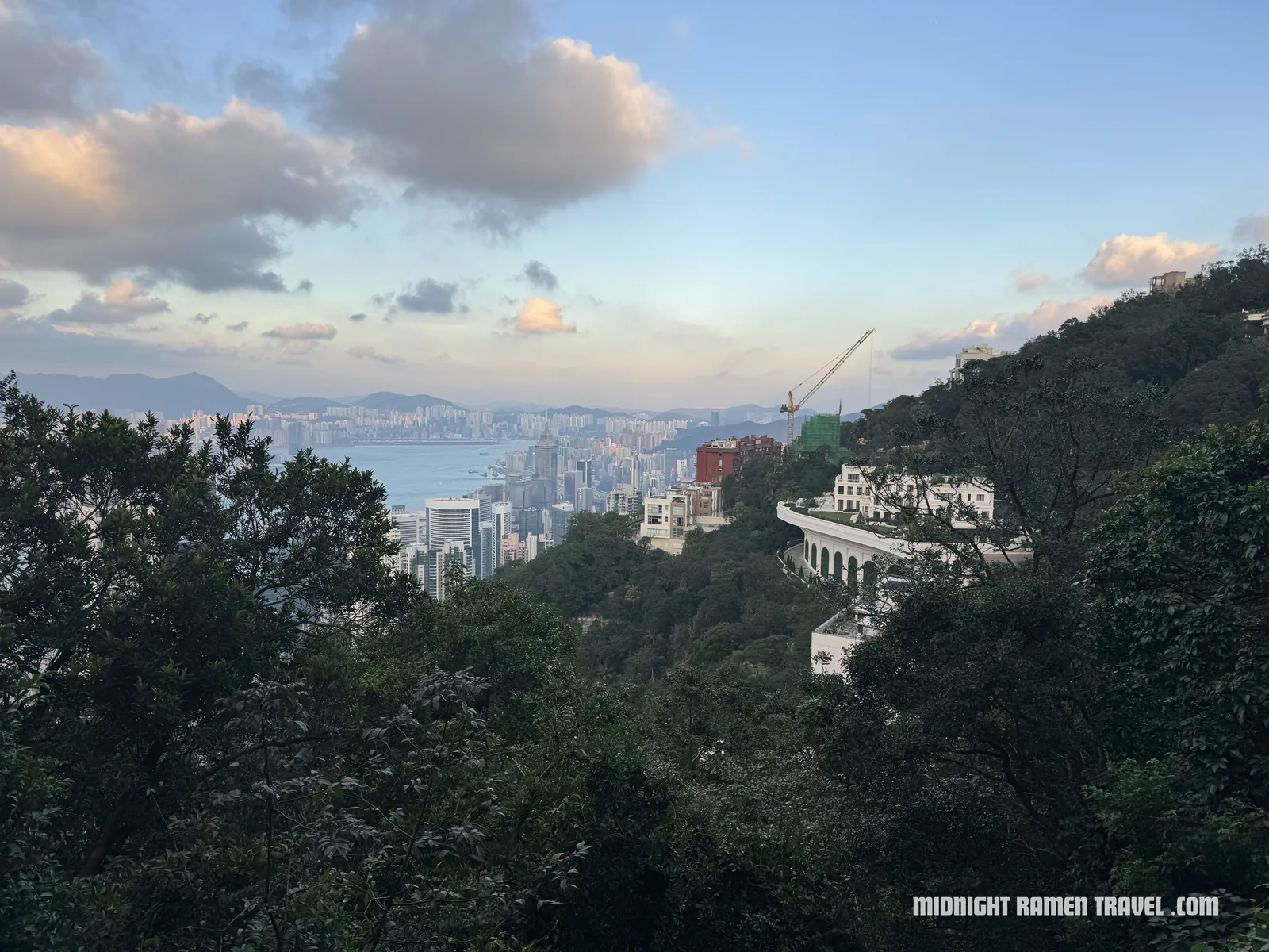 hong kong victoria peak harbour view through trees